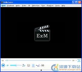 国产色视频播放器