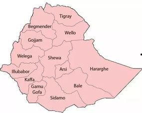 精品产区和二线产区比较,品质与市场的双重较量